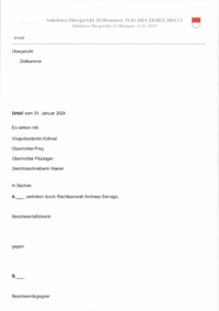 OG_SO__31.01.2024.pdf