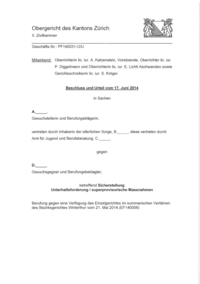 OG_ZH_17.06.2014.pdf